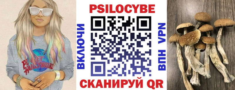 Псилоцибиновые грибы Cubensis mega ссылка Ачинск